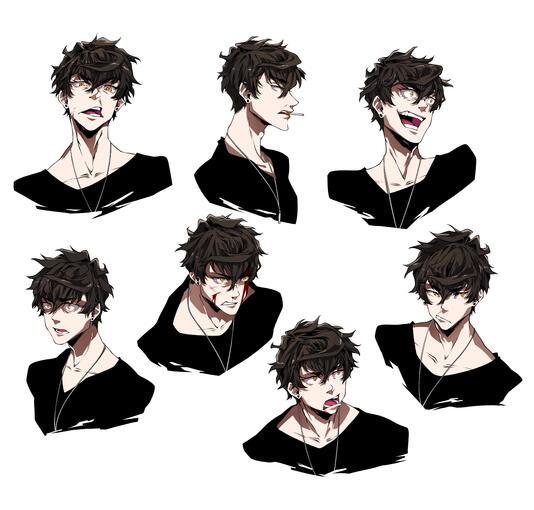 Lucas Expression Sheet